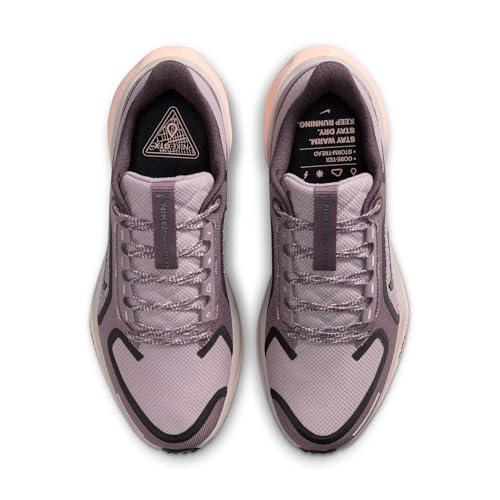 Nike Nike Women's Pegasus 41 Gore-TEX Platinum Violet/Black/Crimson Tint/Taupe Grey 8.5 Medium