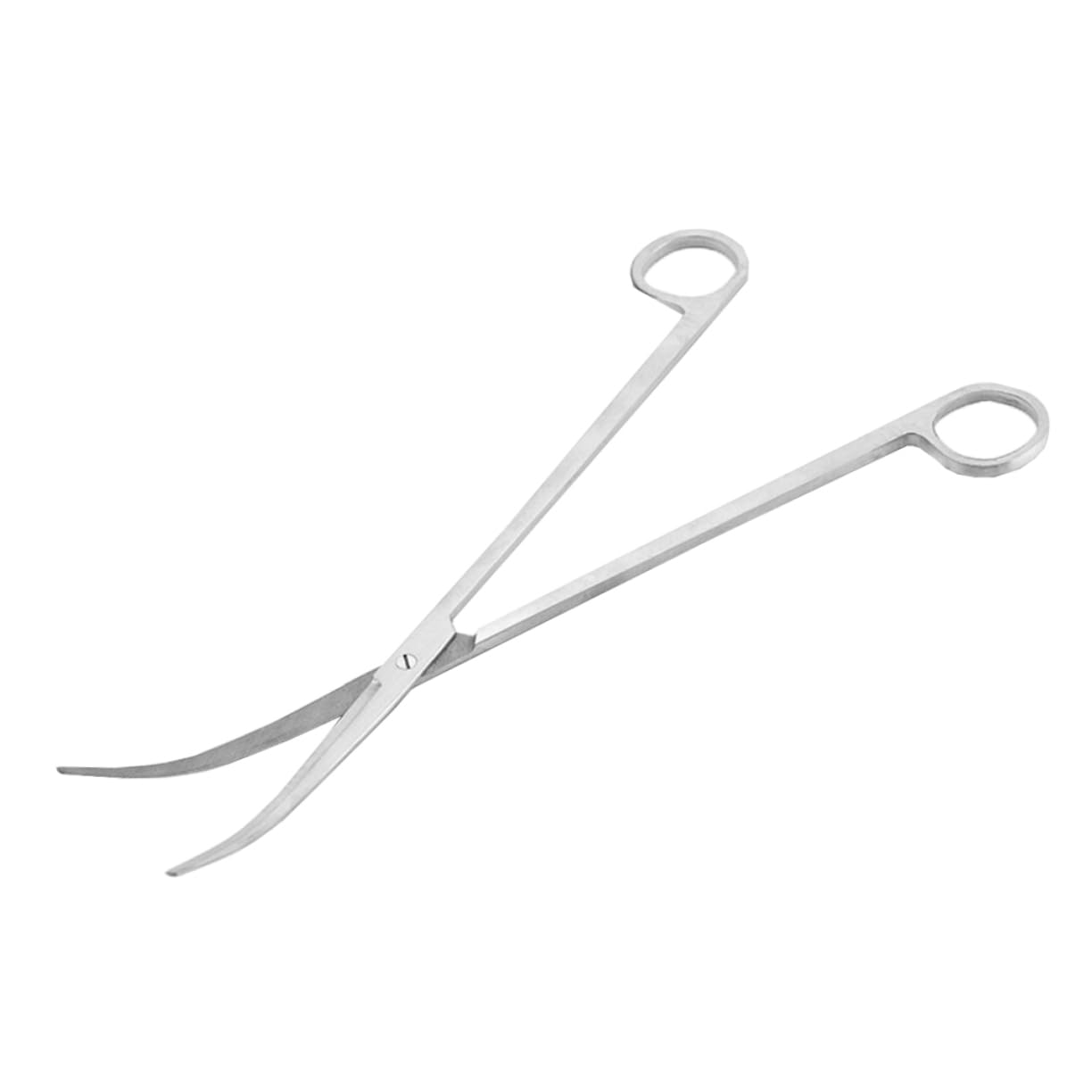 EXCEART 3pezzi Forbici Per Piante Acquatiche Acciaio Inossidabile Con Punta Curva Strumenti Per Acquario Per Potatura Piante Nel Serbatoio