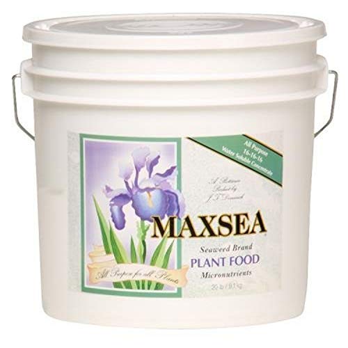 Maxsea All Purpose 16-16-16 Plant Food, 20 lb.
