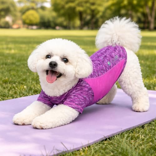 T-shirt pour chien violet PetLife Active Warf Speed extensible M - 5