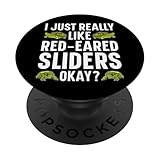 Sumérgete en el cautivador mundo del deslizador de orejas rojas, con representaciones detalladas y vibrantes que resaltan la belleza única de esta querida especie de tortuga.