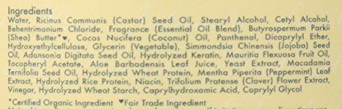 Shea Moisture Leave In Conditioner, 11 Oz #TOP2