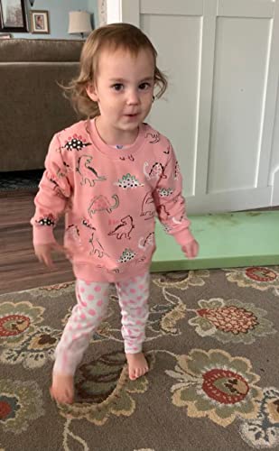 Dinosaur Shirts for Girls Toddler Girls Sweatshirt Crewneck Winter Long Sleeve Pullover Tops Cotton Dinosaur Hoodie Baby Girls Dino Sweater 3t/8172 Pink