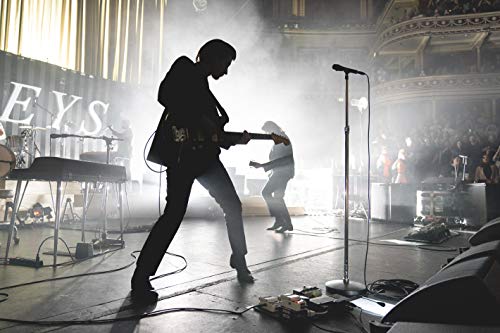 Arctic Monkeys Live at the Royal Albert Hall [Disco de Vinil]