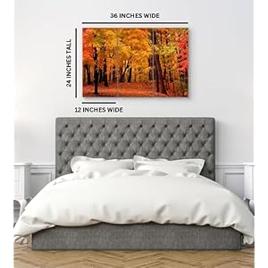 Forest Wall Art Decor - 3 Piece Set, Decorative Framed Autumn Fall Tree Canvas Art Multi Panel Split Prints for Living Room, Kitchen, Bedroom, Office & Home Decor Gift Forest Wall Art Decor 3 Piece Set Decorative Framed Autumn Fall Tree Canvas Art Multi Panel Split Prints for Living Room Kitchen Bedroom Office Home Decor Gift