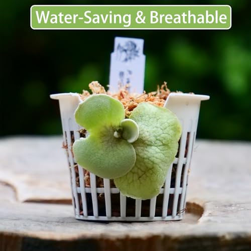 ANKROYU 10-Pack Hydroponic Basket Cups - Image 4