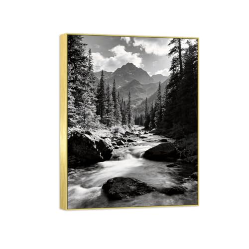 Tableau toile forêt rivière paysage noir et blanc cadre doré décoration murale 60x80cm