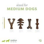 Benebone Medium 4-Pack Dog Toys for Aggressive Chewers – Durable Dog Bones, Made in USA – Dog Toys for Medium Dogs Under 60 lbs - Image 4
