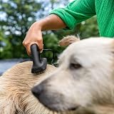 Kärcher Mobile Outdoor Cleaner OC 4 + Pet Kit, Fördermenge: 2 l/min, Gewicht: 3,1 kg, Wassertank: 8 l, Lithium-Ionen-Akku, Spiralschlauch, Gerätefilter, Kegel-/Flachstrahldüse, Handtuch für Haustiere