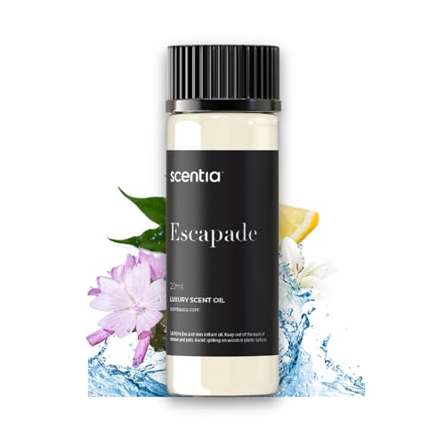 best oil diffuser for schizophrenia