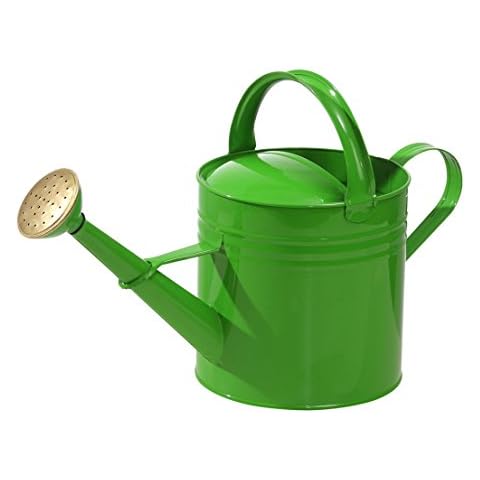 Regadera Dehner en Estilo Nostálgico Cover