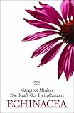 Die Kraft der Heilpflanzen Echinacea (dtv Modernes Leben) - Margaret Minker 