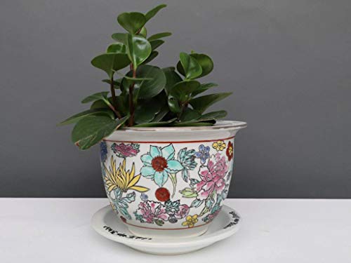 Yajutang China Porzellan Blumentopf Weiß mit bunten Blumen Ø 20cm Cover