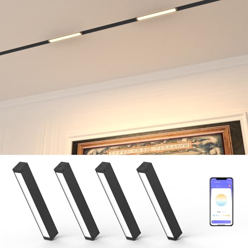 Hengsense Magnetic Floodlight Track Head 4 Pack, 24V 15W LED Lamp for Track Light, Dimmable Linear Floodlight with APP & Remote Control, Adjustable 3000K-6000K Color Temperature, for Ceiling Lighting