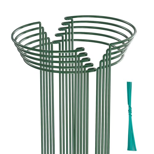 Rose Plant Support Garden Stakes