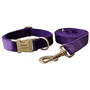 Dog Collar Custom Personalized Engraved Name and Phone Number for Puppy Small Medium Large Pets (L, Purple)