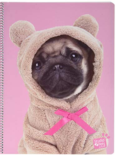Grupo Erik: Quaderno A4 Studio Pets Dogs, Quaderno...