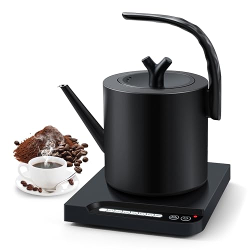 Intelligent Thermostatic Kettle - 1L Stainless Steel Electric Tea and Coffee Kettle, 7 Temperature Adjustment, Rapid Boiling, Anti-dry Burning Protection Black