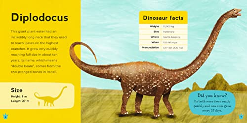 My First Book of Dinosaurs