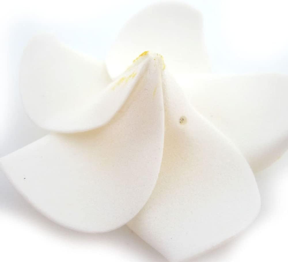 ALEVAN 2.4 inch Artificial Plumier Rubric Hawaiian Flower Petals Hair Hat Wreath Floral Hawaiian Foam Frangipani Flowers for DIY Home Beach Wedding Party Decoration (White, 36)