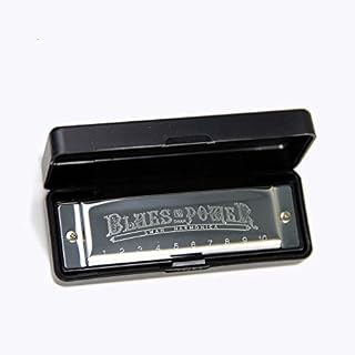 Harmonica Senior Bruce 10 trous Blues avec boîtier laiton acier inoxydable – Image 3