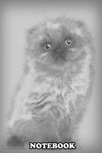 Notebook: Portrait Of Highland Fold Kitten 5 Weeks Old Against Wh , Journal for Writing, College Ruled Size 6