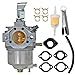 XingLi 715670 Carburetor Fit for Briggs & Stratton 185432 715442 715312 Carburetor 185432-0614-E1 185432-0037-01 185432-0271-E1 Lawn Mower Carburetor