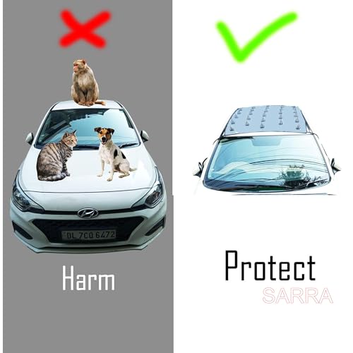 Image of SARRA Permium Quality Car Protection Covers from Dog /Monkey Sitting On The Top of The for Car Or On Bonnet (Pack of 1)(Big)