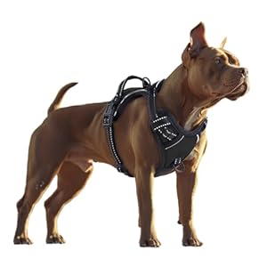 Dog Harness, Adjustable Soft Padded Dog Vest with Handle Adjustable, no-Pull, Comfortable, Safety Vest for Small, Medium, Large Size Dogs (Black, Medium)