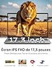 ACEMAGIC Ordinateur Portable 17,3 Pouces PC Portable 16 Go Ram DDR4 512 Go SSD Extension 2TB 4 cœurs 4300U,(Jusqu'à 3.7Ghz) Capacité de 5500Mah,3*USB3.2,BT5.0,HDMI,Laptop Argenté