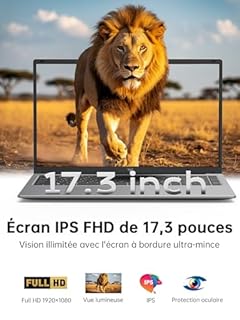 ACEMAGIC Ordinateur Portable 17,3 Pouces PC Portable 16 Go Ram DDR4 512 Go SSD Extension 2TB 4 cœurs 4300U,(Jusqu'à 3.7Ghz) Capacité de 5500Mah,3*USB3.2,BT5.0,HDMI,Laptop Argenté