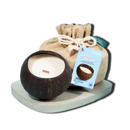 Bougie coco combustion longue durée mèche bois 50h
