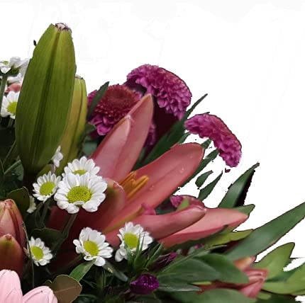 Blumenstrauß mit echten Blumen Muttertag mit Flora Trans versenden - zum Geburtstag - Lieferung 1-2 WERKTAGE