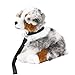 Teddys Rothenburg Kuscheltier Australian Shepherd sitzend grau/weiß/braun 26cm Plüschhund