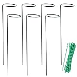 El paquete incluye: recibirás 7 estacas para plantas y 20 ataduras para plantas de jardín.La estaca de la planta mide aproximadamente 40 cm de largo, el diámetro interior del anillo es de aproximadamente 5,8 cm y la ranura abierta mide aproximadamente 1 cm.La atadura de torsión de la planta mide unos 17 cm de largo.Adecuado para la mayoría de flores y plantas de tallo pequeño.