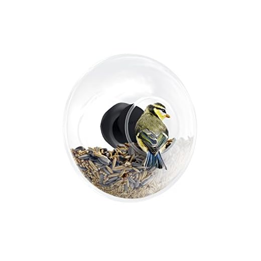 Eva Solo 571048.0 Mangeoire à Oiseaux pour fenêtre de Disque, Volume 90 ML, Transparent