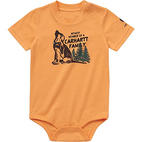 Image of Carhartt Kid's CA6500 Short-Sleeve Toolbelt Bodysuit - Boys
