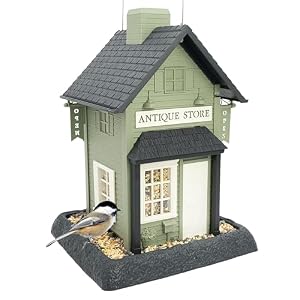 North States Village Collection – Antique Store Birdfeeder for Outdoors, Holds 6.5 Lbs of Seed in Green
