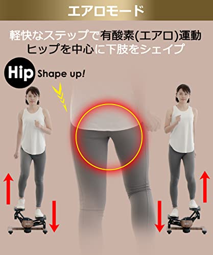 東急スポーツオアシス ツイストエアロステッパー Premium プ