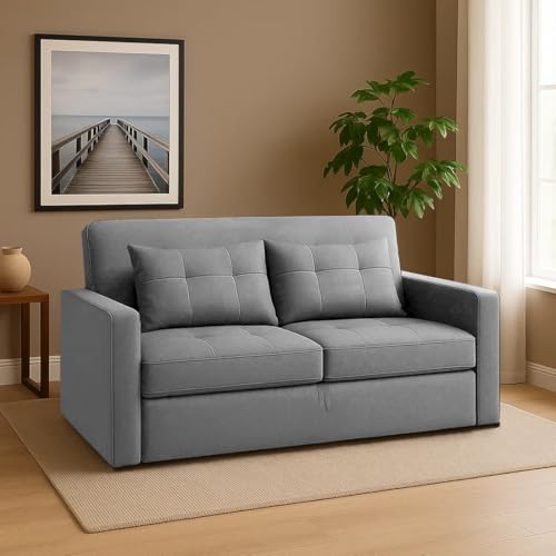 Image of CASASTYLE Trissa 2 Seater Pull-Out Premium Fabric Sofa Cum Bed Sofa Set for Living Room (Light Grey Fabric