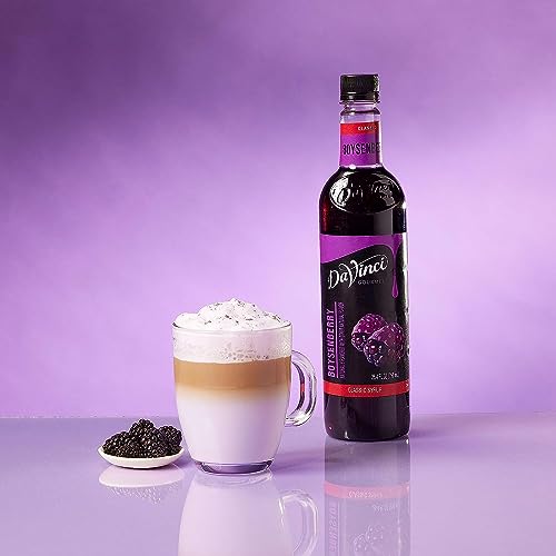 Image of DaVinci Gourmet Boysenberry Syrup, 25.4 Fluid Ounces (Pack of 4)