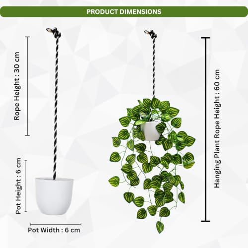 Image of fancymart Artificial Hanging Ivy Plant with White Hanging Pot & Rope, Pack of 2, Realistic Green Leaf Creeper for Home, Office, Living Room & Wall Decor, 60 cm Height