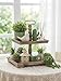 Hanobe Tiered Tray for Table Decor: Spring 2 Tier Decorative Tray Stand for Coffee Bar - Large Farmhouse Display Stands for Seasons - Wood for Kitchen Counter Decorations