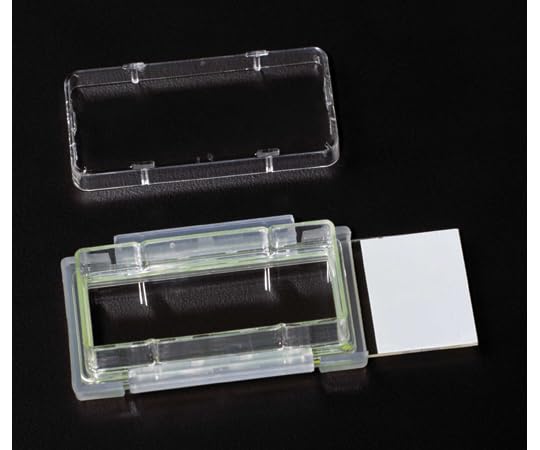 Amazon | Celltreat 1 Chamber Cell Culture Slide, Glass, Sterile 12