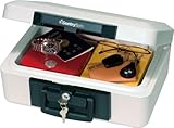 SentrySafe 1100 1/2 Hour FIRE-Safe Chest, 0.18 Cubic Feet, Dove Gray