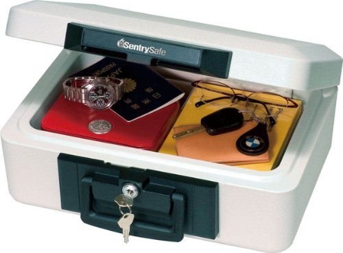 SentrySafe 1200 Fireproof Box with Key Lock, 0.18 Cubic Feet, Black