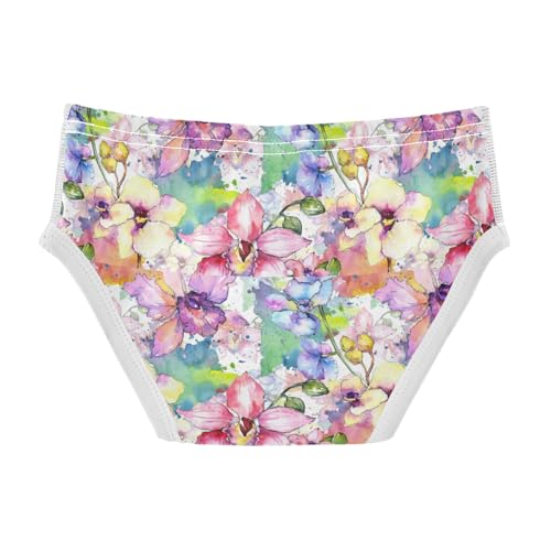 Boys' Exclusive Briefs Toddler Underwear 95% Combed Cotton Boxerbriefs 2T Floral Watercolor Painting 82