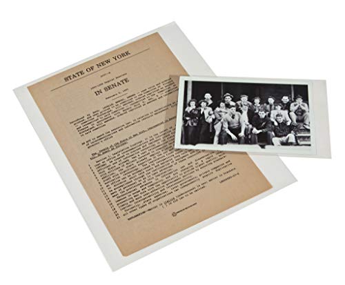 Gaylord Archival 3 mil Archival Polyester L-Sleeves for Photos & Documents (10-Pack) - Fits up to 8 1/2 x 11