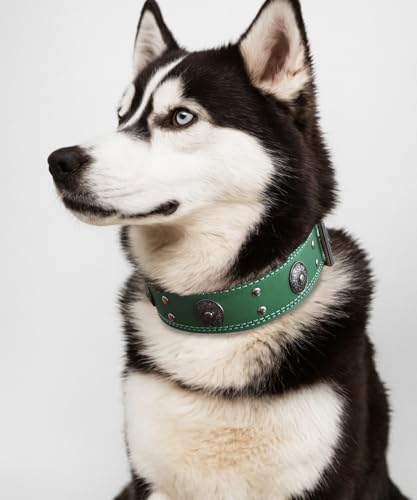 Hundehalsband Leder, 5 cm Breites Robustes Echtes Lederhalsband, Handgefertigt, Weich und Luxuriös, Auffällige Beste Wahl für Große und Mittelgroße Hunderassen, Grün S
