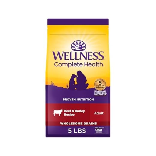 Wellness Complete Health Dry Dog Food, Wholesome Grains, Natural, Beef & Barley Recipe, (5-Pound Bag)